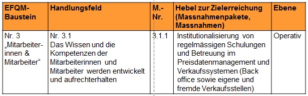EFQM-Beispiel aus Projekt